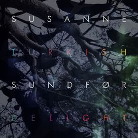 Turkish Delight (Remix EP) - 2011 • Single/EP