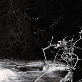 Geiger Counter - liar, flower