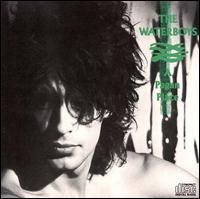 A Pagan Place - 1984 • Álbum
