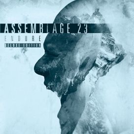 Endure - 2016 • Álbum