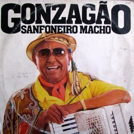 Sanfoneiro Macho - 1985 • Álbum