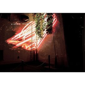 Netsugen - 2017 • Álbum