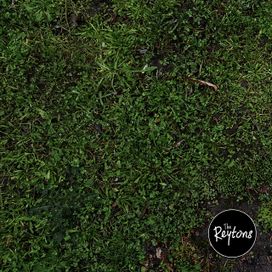 Kote - 2017 • Sencillo/EP