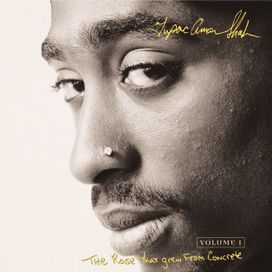 The Rose That Grew From Concrete - 2000 • Coletânea