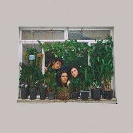 Os Prédios Cinzas e Brancos da Av. Maracanã - 2021 • Álbum