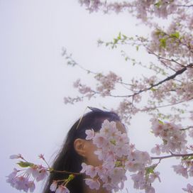 Sakura - 2023 • Sencillo/EP