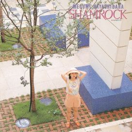 Shamrock - 1993 • Álbum