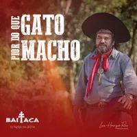 Pior do Que Gato Macho - 2023 • Single/EP