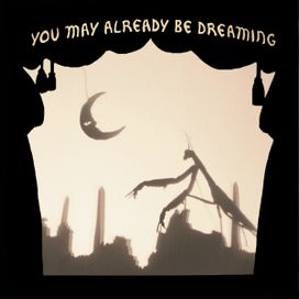 You May Already Be Dreaming - 2008 • Álbum