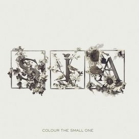 Colour The Small One - 2005 • Álbum