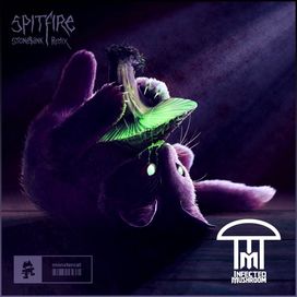 Spitfire (Stonebank Remix) - 2020 • Single/EP