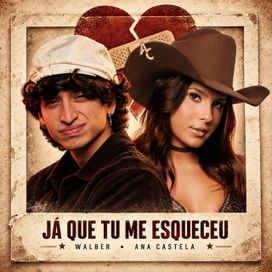 Já Que Tu Me Esqueceu (part. Ana Castela) - Walber