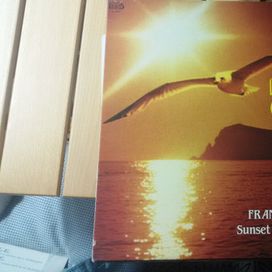 Feeling Of Love - 1985 • Álbum