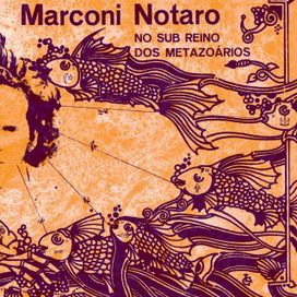 No Sub Reino dos Metazoarios - Marconi Notaro