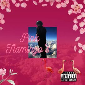 Pink Flamingo's - 2022 • Álbum