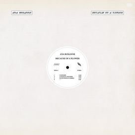 Because Of a Flower - 2020 • Álbum
