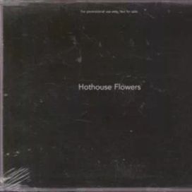 Hothouse Flowers - 1998 • Álbum