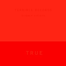 True - 2013 • Álbum