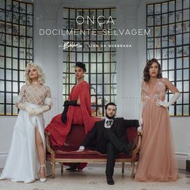 Onça / Docilmente Selvagem (part. As Baías) - 2020 • Sencillo/EP