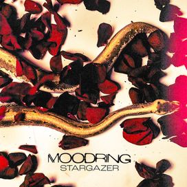 Stargazer - 2022 • Álbum