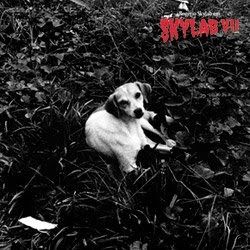 Skylab VII - 2007 • Álbum