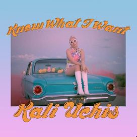 Know What I Want - 2014 • Single/EP