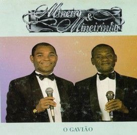 O Gavião - 1991 • Álbum