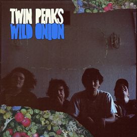 Wild Onion - 2014 • Álbum