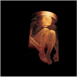 Nothing Safe - The Best Of The Box - 1999 • Coletânea