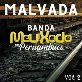 Meu Xodó de Pernambuco (Vol. 2) - 2008 • Álbum
