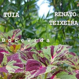 Doce Vida - 2022 • Single/EP