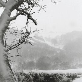 Snow On My Windowsill - Bambi Baker