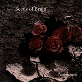 Seeds Of Brain - 2008 • Álbum