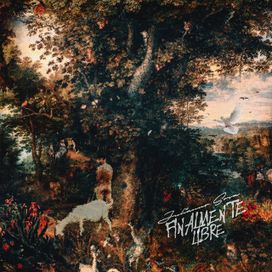 FINALMENTE LIBRE - 2024 • Álbum