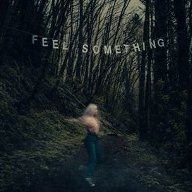 Feel Something  - 2017 • Álbum