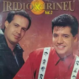 Vim Pra Dizer Adeus - 1993 • Álbum