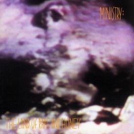 The Land of Rape and Honey - 1988 • Álbum