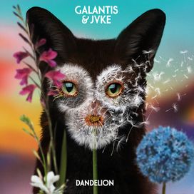 Dandelion - 2021 • Sencillo/EP