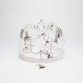 you should see me in a crown - 2018 • Single/EP
