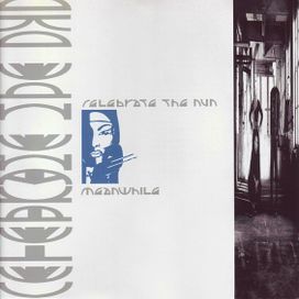 Meanwhile - 1989 • Álbum