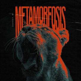 Metamorfosis - 2024 • Álbum