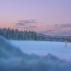 Vinter - 2020 • Single/EP