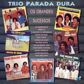 Os Grandes Sucessos - 1998 • Coletânea
