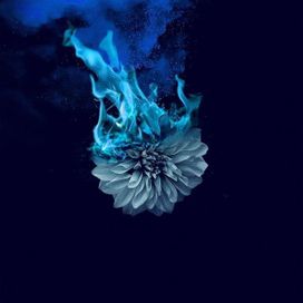 Lowborn - 2021 • Single/EP
