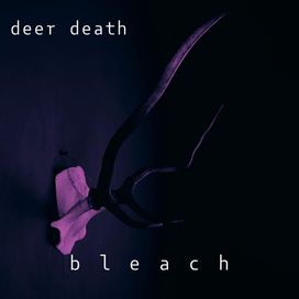 bleach  - 2024 • Sencillo/EP