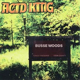Busse Woods - 1999 • Álbum