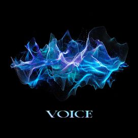 VOICE - 2026 • Single/EP