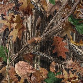 Upper Echelon (feat. 2 Chainz &amp; T.I.) - 2013 • Sencillo/EP