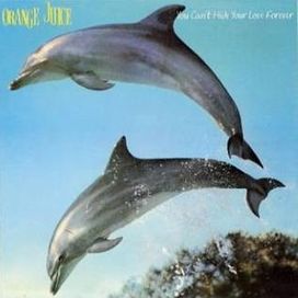 You Can't Hide Your Love Forever - 1982 • Álbum
