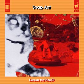 Execute The Ping - Snap Ant